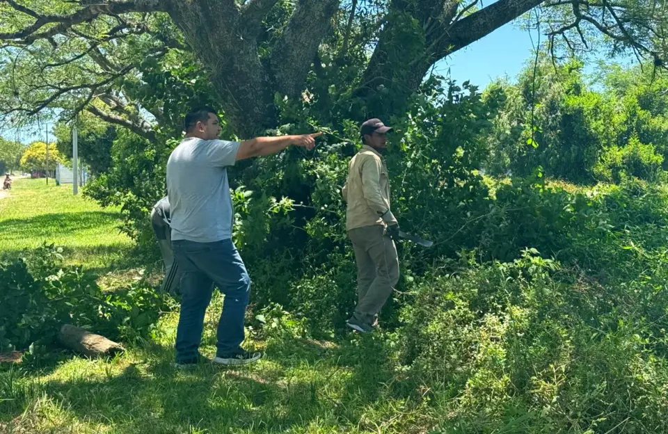 Avanzan los trabajos de corte de pasto en baldíos y cementerio