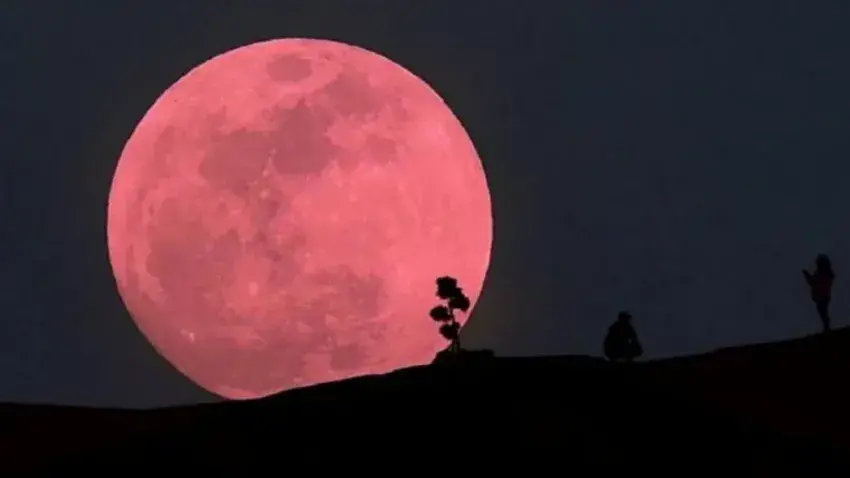 Luna Rosa 2026: cuándo y cómo ver el espectáculo astronómico que iluminará la noche
