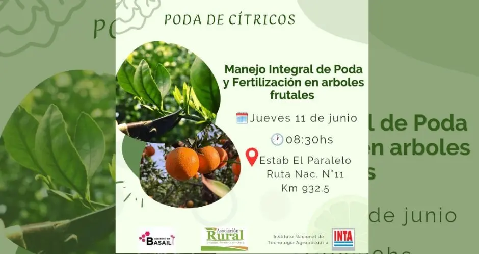 Taller de manejo integral, poda y fertilización en árboles frutales