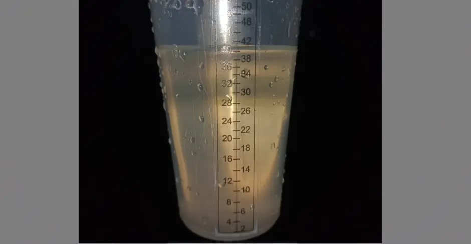 Clima en Florencia: se registraron 40 mm de lluvia y el sol asoma de cara al fin de semana