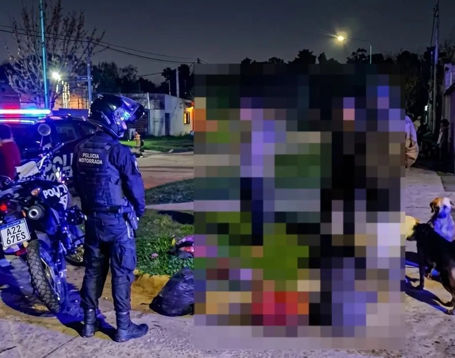 Tres jóvenes aprehendidos cuando caminaban por la Ruta 11 con carne de chancho salvaje